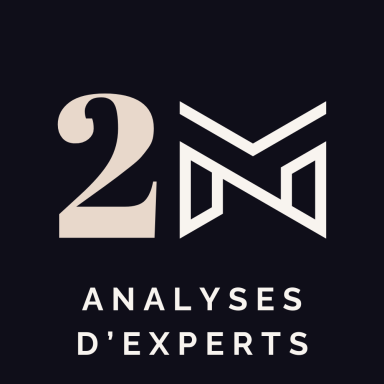 LES ANALYSES D'EXPERTS